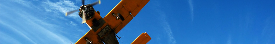 Off the Kuff Rotating Header Image